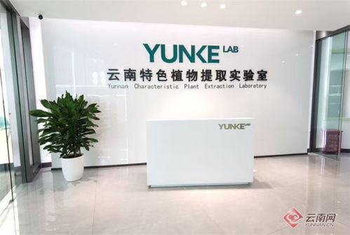 探訪 智慧工廠 感受云南本土企業(yè)的 科技范兒