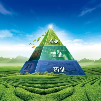 理想科技集團榮膺“云南省非公企業100強”、“云南省非公企業服務業20強”稱號