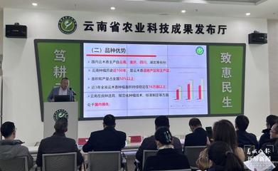 滇黃精口感更佳!云南省農科院推介藥用植物科技成果