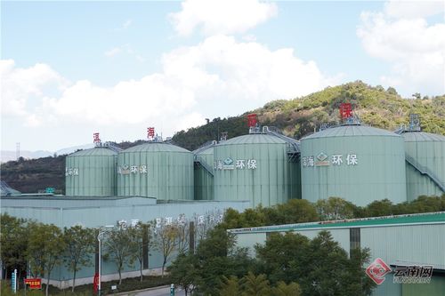 園區大招商 產業大提質丨招商引資集聚產業 園區經濟迸發活力 高清組圖